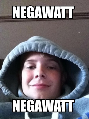 negawatt-negawatt