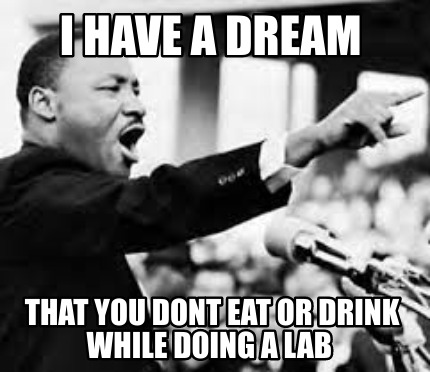 i-have-a-dream-that-you-dont-eat-or-drink-while-doing-a-lab