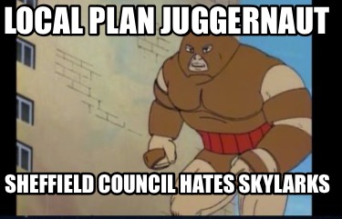 local-plan-juggernaut-sheffield-council-hates-skylarks