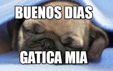 buenos-dias-gatica-mia