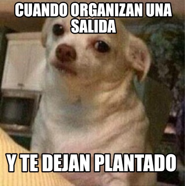 cuando-organizan-una-salida-y-te-dejan-plantado