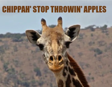 chippah-stop-throwin-apples