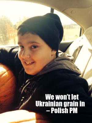 we-wont-let-ukrainian-grain-in-polish-pm