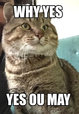 why-yes-yes-ou-may