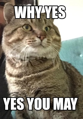 why-yes-yes-you-may