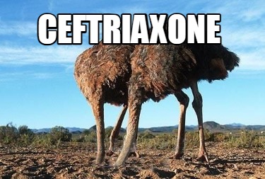 ceftriaxone