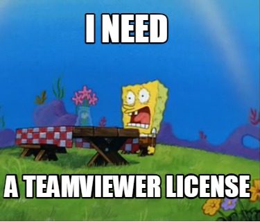 i-need-a-teamviewer-license
