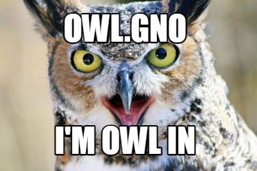 owl.gno-im-owl-in