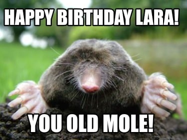 happy-birthday-lara-you-old-mole