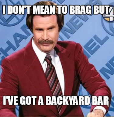 i-dont-mean-to-brag-but-ive-got-a-backyard-bar