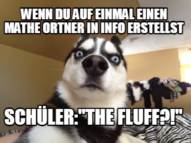 wenn-du-auf-einmal-einen-mathe-ortner-in-info-erstellst-schlerthe-fluff