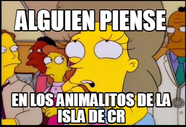 alguien-piense-en-los-animalitos-de-la-isla-de-cr