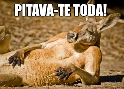 pitava-te-toda