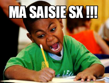 ma-saisie-sx-