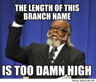 the-length-of-this-branch-name-is-too-damn-high