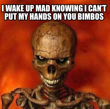 i-wake-up-mad-knowing-i-cant-put-my-hands-on-you-bimbos