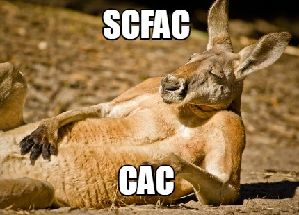 scfac-cac6