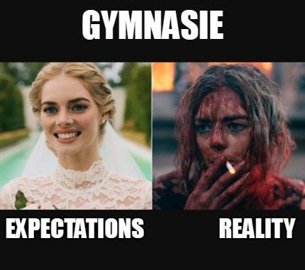 gymnasie-expectations-reality