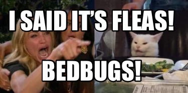 i-said-its-fleas-bedbugs