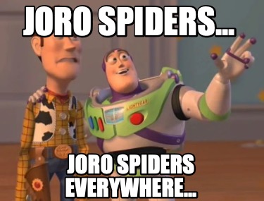 joro-spiders...-joro-spiders-everywhere