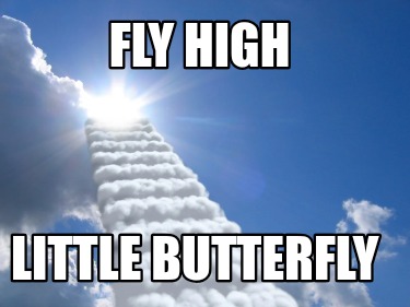 fly-high-little-butterfly