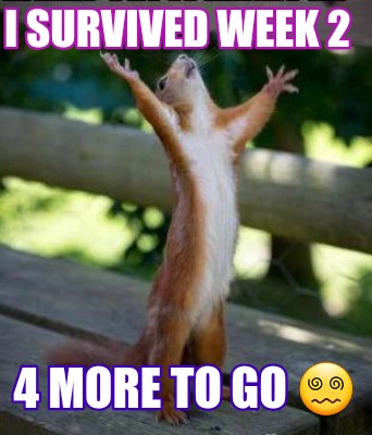i-survived-week-2-4-more-to-go-