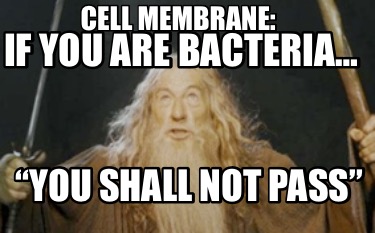 if-you-are-bacteria-you-shall-not-pass-cell-membrane
