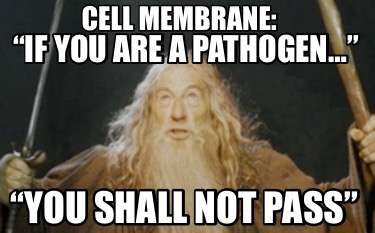 if-you-are-a-pathogen-you-shall-not-pass-cell-membrane
