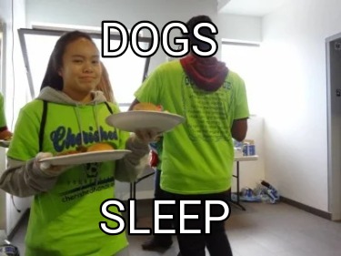 dogs-sleep