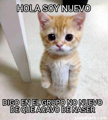 hola-soy-nuevo-digo-en-el-grupo-no-nuevo-de-que-acavo-de-naser