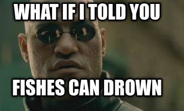 what-if-i-told-you-fishes-can-drown