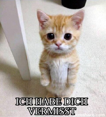 ich-habe-dich-vermisst