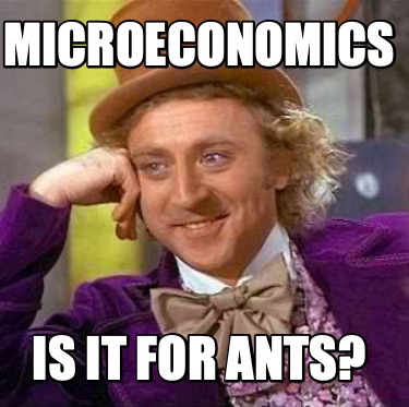 microeconomics-is-it-for-ants