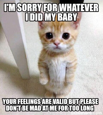 im-sorry-for-whatever-i-did-my-baby-your-feelings-are-valid-but-please-dont-be-m