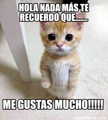 hola-nada-ms-te-recuerdo-que.......-me-gustas-mucho7