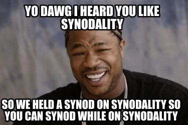 yo-dawg-i-heard-you-like-synodality-so-we-held-a-synod-on-synodality-so-you-can-