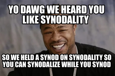 yo-dawg-we-heard-you-like-synodality-so-we-held-a-synod-on-synodality-so-you-can
