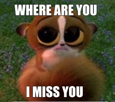 where-are-you-i-miss-you
