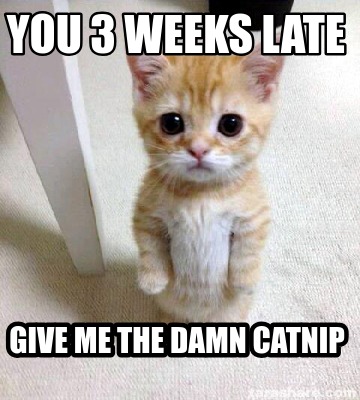 you-3-weeks-late-give-me-the-damn-catnip