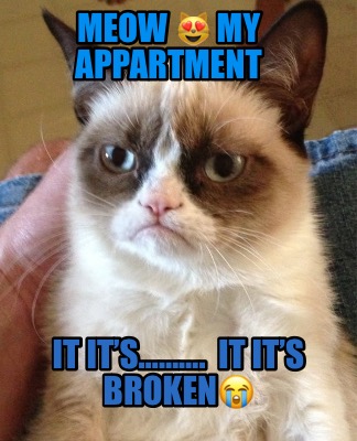 meow-my-appartment-it-its.-it-its-broken