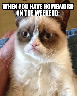 when-you-have-homework-on-the-weekend5