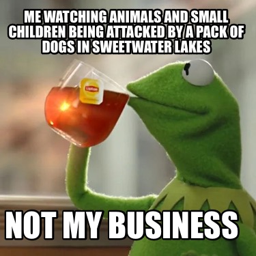 me-watching-animals-and-small-children-being-attacked-by-a-pack-of-dogs-in-sweet
