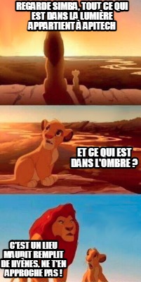 regarde-simba-tout-ce-qui-est-dans-la-lumire-appartient-apitech-et-ce-qui-est-da