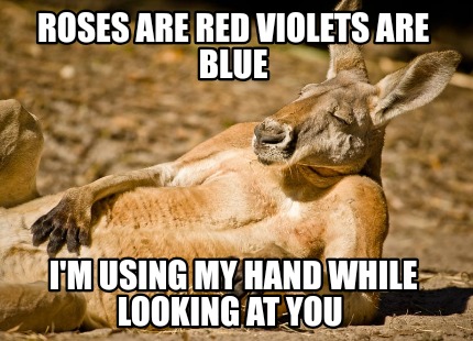 roses-are-red-violets-are-blue-im-using-my-hand-while-looking-at-you