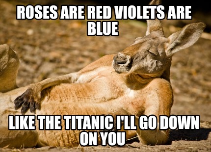 roses-are-red-violets-are-blue-like-the-titanic-ill-go-down-on-you