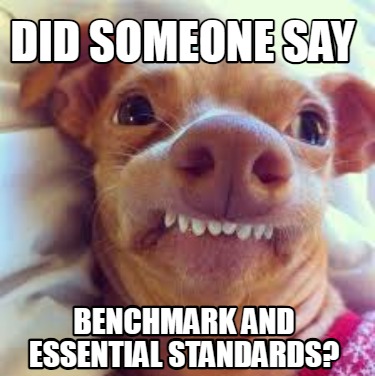 did-someone-say-benchmark-and-essential-standards
