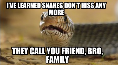 ive-learned-snakes-dont-hiss-any-more-they-call-you-friend-bro-family