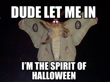 dude-let-me-in-im-the-spirit-of-halloween