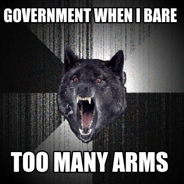 government-when-i-bare-too-many-arms