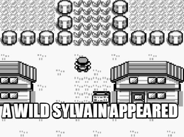 a-wild-sylvain-appeared